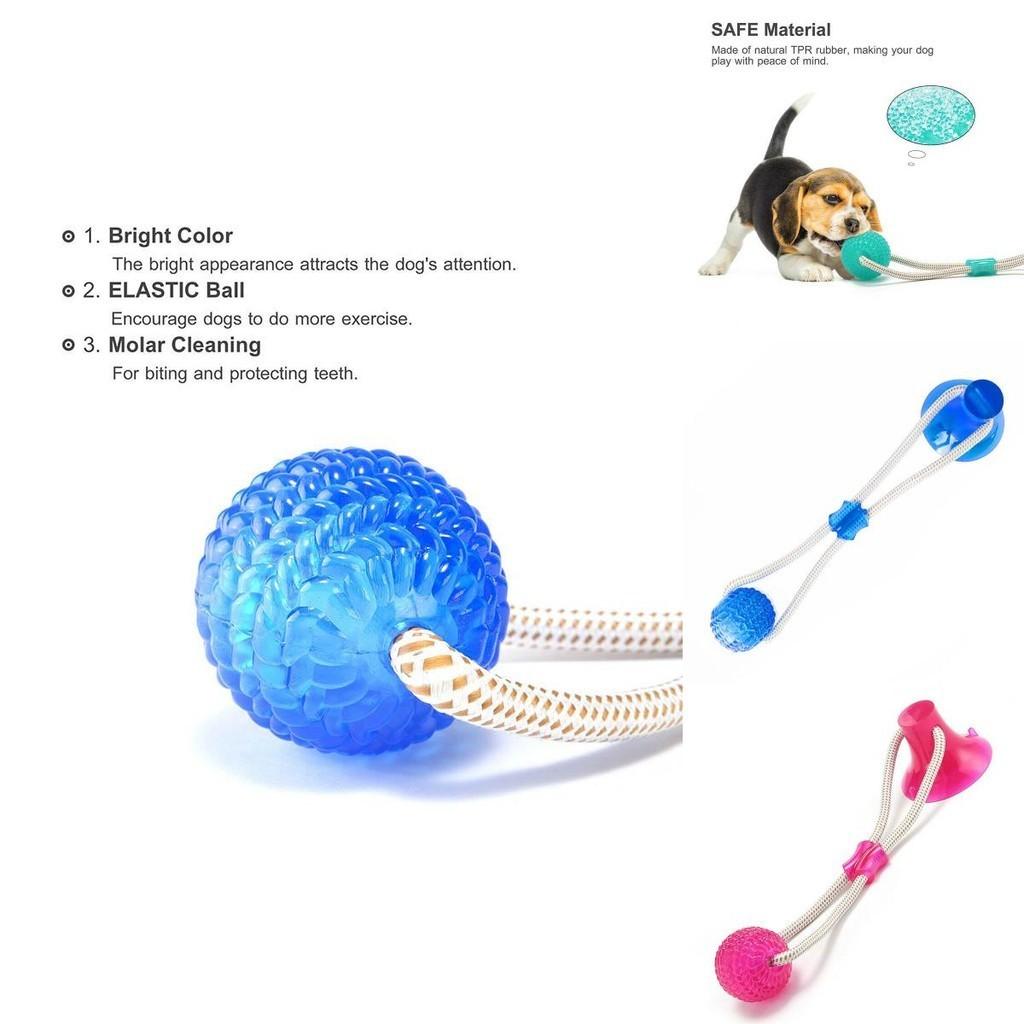 High Quality Pet Molar Bite Toy Designed For Safe Chewing And Dental Care