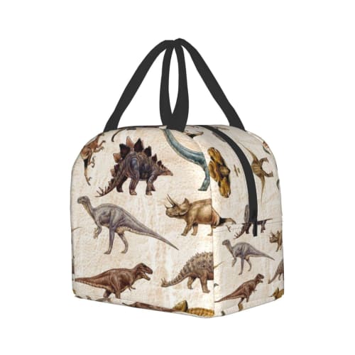 LDU Black Dinosaur Pattern Cartoon Lunch Bag, Black Bento Box, Insulated Cooler Bag with Zipper, Compact Soft Cooler Bag, Tote Eco Bag