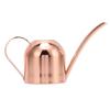 Watering Can for House Bonsai Garden Flower Outdoor Indoor Plants Long Spout Pot Stainless Steel