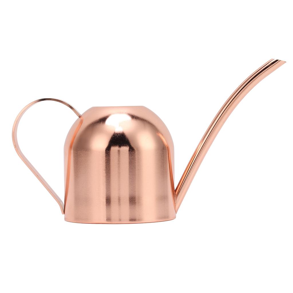 Watering Can for House Bonsai Garden Flower Outdoor Indoor Plants Long Spout Pot Stainless Steel