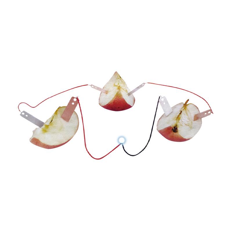 DIY Science Experiment Kit for Primary Students - Educational Puzzle Set