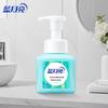 Blue Moon Fresh Fruit Mint Foam Hand Soap