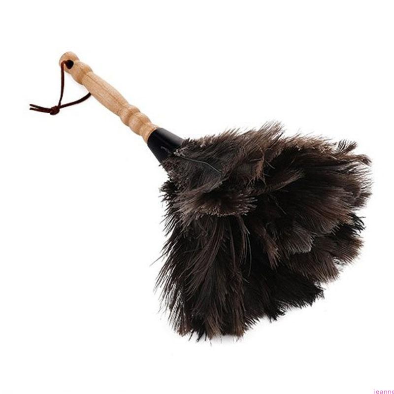 Natural Ostrich Feather Duster with Wood Handle Eco-Friendly Dust Brush Handheld Duster Cleaning Supplies China Mainland