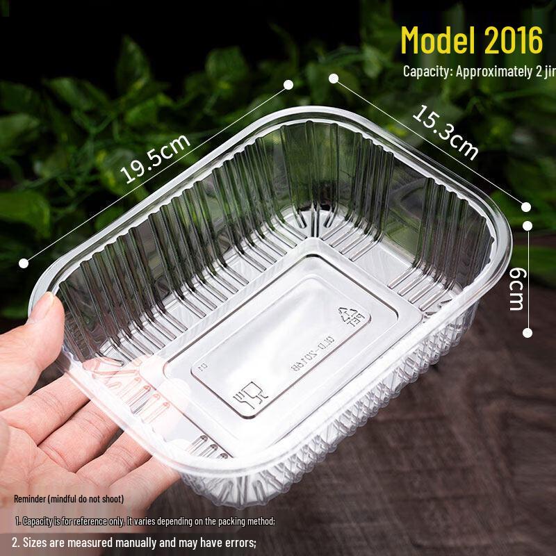 Disposable Clear Rectangular Plastic Fruit Container