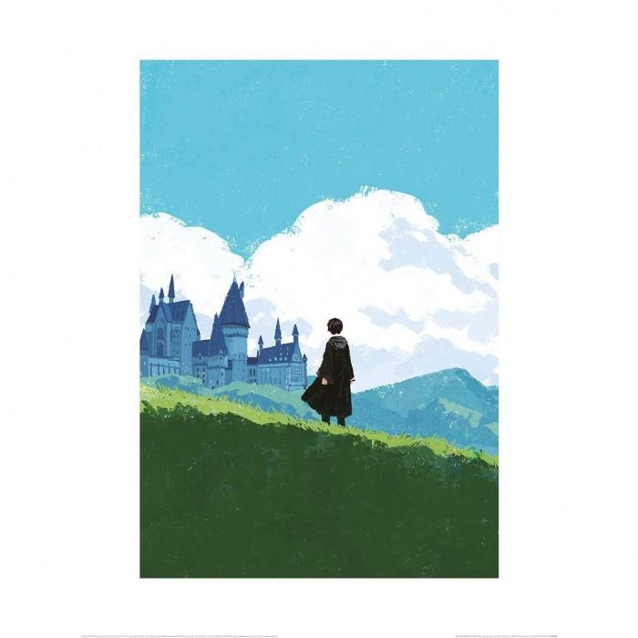 HARRY POTTER Harry Print