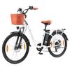 TTGO YY-26ST Electric Bike, 250W Motor, 36V 14.5AH Battery, 26*1.95-inch Tires, 25km/h Max Speed, 100km Max Range, Disc Brake