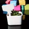 20/100 Pcs Garden Supplies Plastic Plant T-type Tags Markers Nursery Garden Labels Decoration(6cm *10cm)