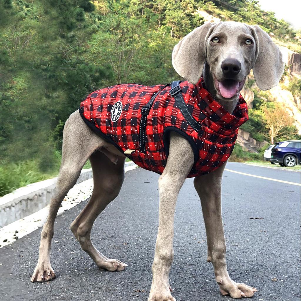 Autumn and Winter New Christmas Pet Clothes Big Dog Reflective Outdoor Jacket Dog Warm and Cold Cotton-padded Clothes