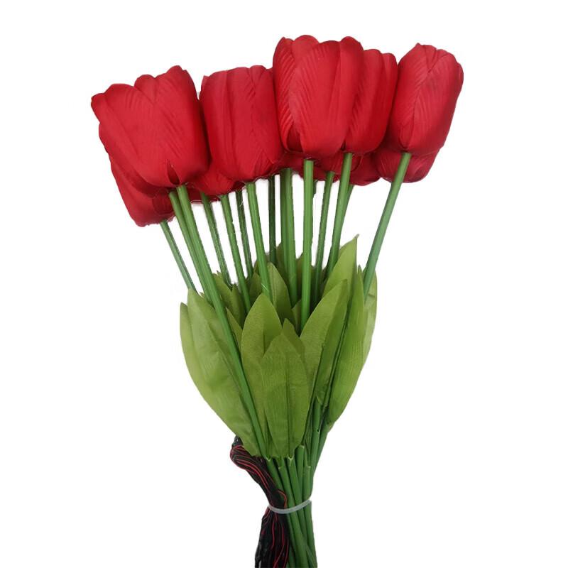 Beigong 2W LED Tulp Buiten Tuinpaal Lichten (70cm, Pak van 20)