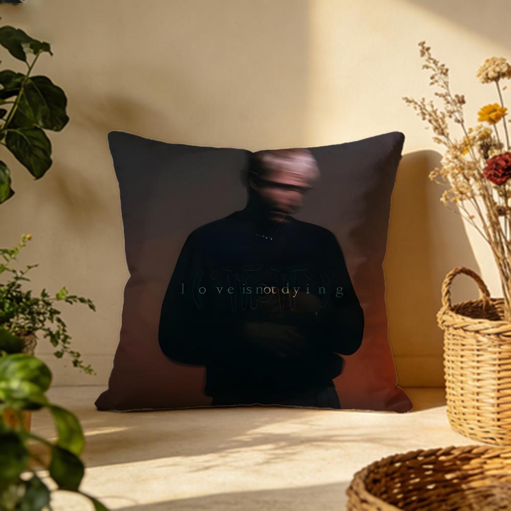 

Hot JJeremy Zuckerning Cushion Cover Versatile DoubleSided Pillow Case Fit for Sofa Bed Car Daily Decor 30X30cm