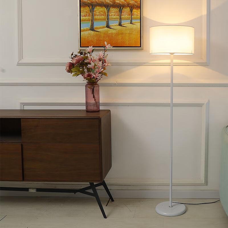 Pailide LED Dimmable Floor Lamp