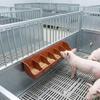 6 Grids Piglet Feeder Automatic Feeding Orange Red Leak-proof Plastic Trough for Farm Pig Raising