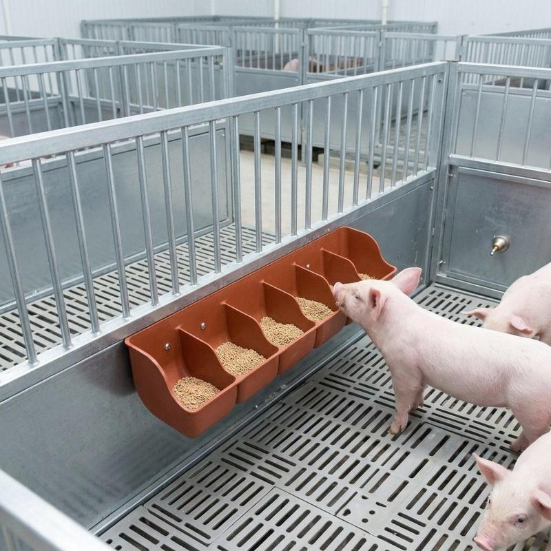 6 Grids Piglet Feeder Automatic Feeding Orange Red Leak-proof Plastic Trough for Farm Pig Raising