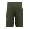 Regatta Professional Mens Arlery Shorts