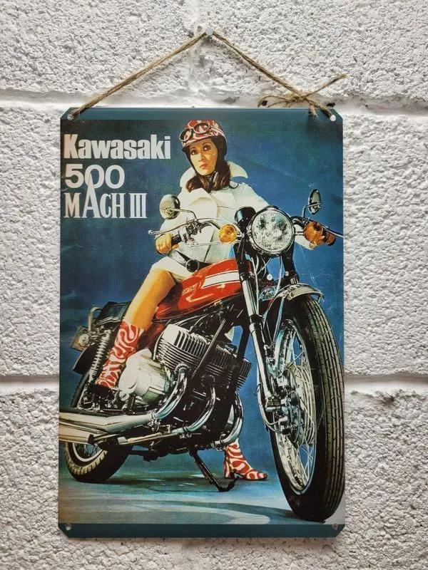 

Harley Davidson Wall Art Poster Moto Decor
