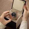 Shangqi Hand-Painted Ceramic Kung Fu Tea Master Cup