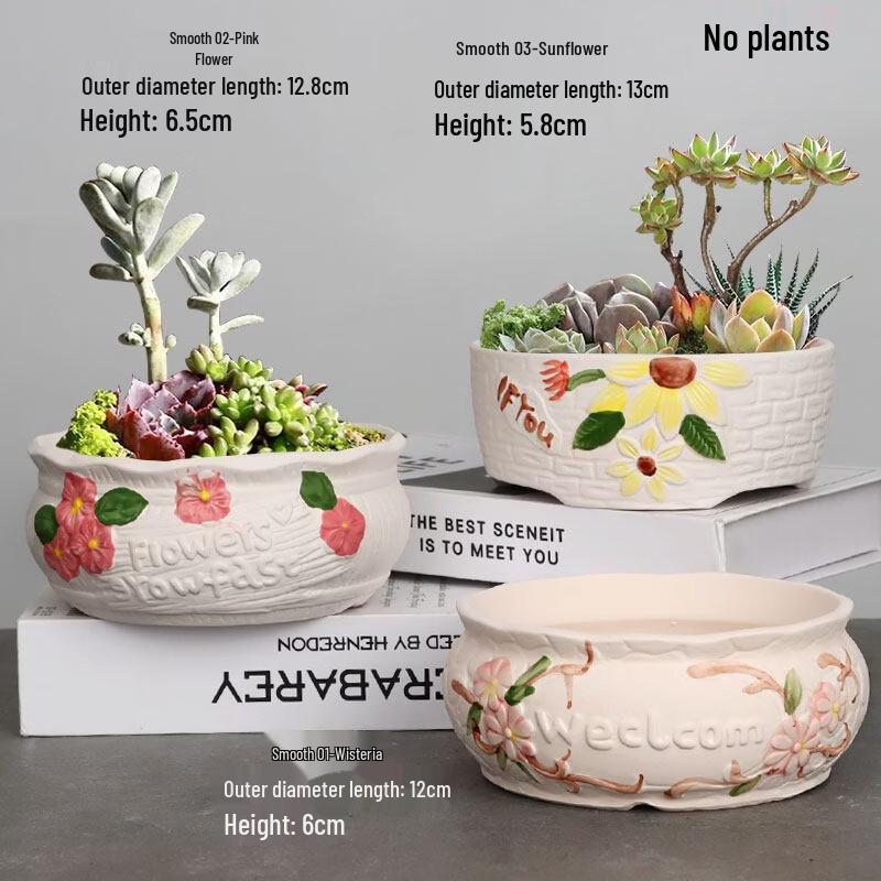 Ceramic Succulent Planter