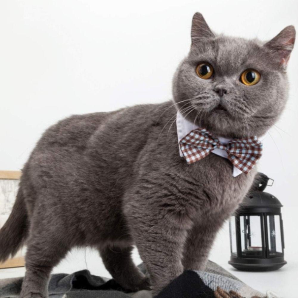 Polyester Plaid Vintage  Collar Blue Pet Plaid Fake Bow Tie Safety British Style Bow  Pet