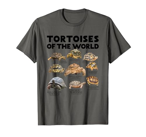 Turtles of the World Turtles Save The Turtles T-shirt