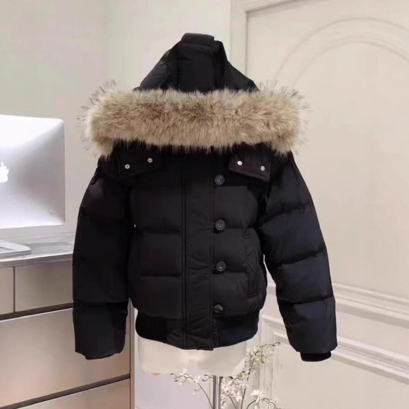 Women`s Winter Cropped Padded Coat, Navy