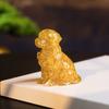Resin Crystal Dogs Snow Shih Tzu And Golden Retriever Home Decor Gift For Animal Lovers