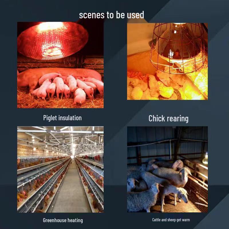Explosion-Proof Pig Heating Lamp - Energy-Saving, Waterproof, Veterinary Household Heater