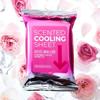 TYPE No. Scented Cooling Sheet 15 sheets (No. 12 / No. 91)