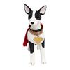 Set costume da supereroe per cani, mantello da supereroe con targhetta identificativa per il collare, travestimento per animali domestici, ideale per cani e gatti, perfetto per divertenti giochi di ruolo e feste in maschera.