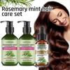 Rosmarin-Minze-Set für Haarwachstum, Haarstärkendes Serum für trockenes, geschädigtes Haar, Behandlung von Haarausfall und Verdickung des Haares, Kopfhautpflege fördert die Haardicke