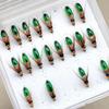 Fly Fishing Flies 21Pcs Artificial Dry Flies Nymph Bait for Fishing Trout/Perch/Salmon Fishing Lure Artificial Fishing Bait (with Flies Box)