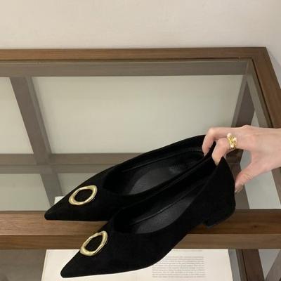 French Pointed Toe Shallow Single Shoes 2026 Spring New Metal Buckle Block Heel Temperament Women's High Heels