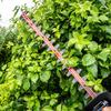 Greebo 40V Cordless Electric Hedge Trimmer with Pruning Shears