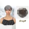 Hair Extension Everyday Short Hair Topper Clip In Fringe Hair Pieces  Gray Root Coverage