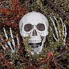 Szkielet człowieka model kościotrup halloween 170cm kostium dekoracje