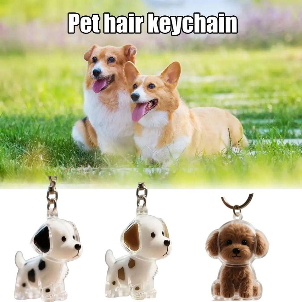 Hair Grooming Dog Hair Storage Box Transparent Puppy Pendants Pet Hair Keychain  Pet lovers