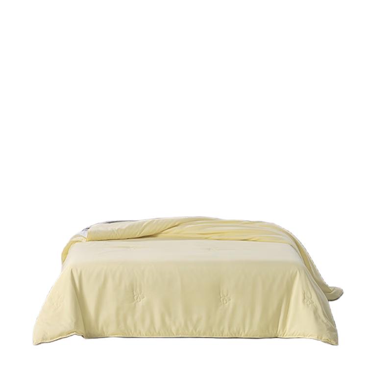 

Mercury Home Textiles 100% Silk Washable Summer Quilt