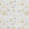 Outdoor Decorative Fabrics Oxford - Motif Various Snowflakes