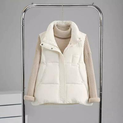 Autumn and Winter All-match Down Cotton Vest Women's Short Casual Stand-up Collar Loose Cotton Waistcoat Waistcoat Trend