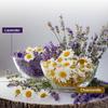 BLUE TEA - Chamomile and Lavender Tea - 30g (Each) - Combo Pack | CALMING TEA | Herbal Tea - Flower Based - GMO-Free - Caffeine - Free - Non-Bitter