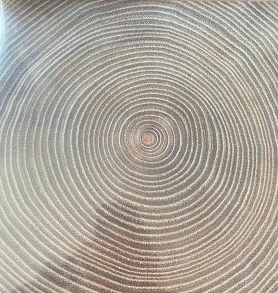 

12-дюймовая пластинка АМДЖАД АЛИ ХАН , АМААН АЛИ БАНГАШ - Мокша LPRW124 Womad Music Ltd 2022 Великобритания Кантри/Фолк