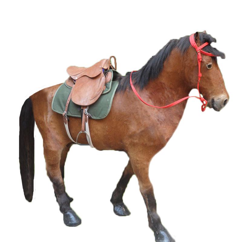 Akhal-Teke War Horse Genuine Leather Model for Exhibitions