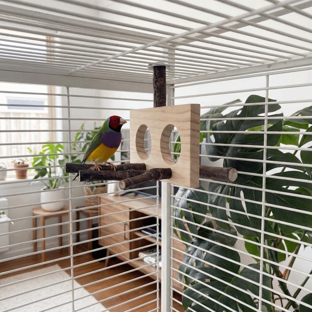 Detachable Parrot Parrot Perch Natural Bird Stand Perch For Parakeet Budgie Cockatoos