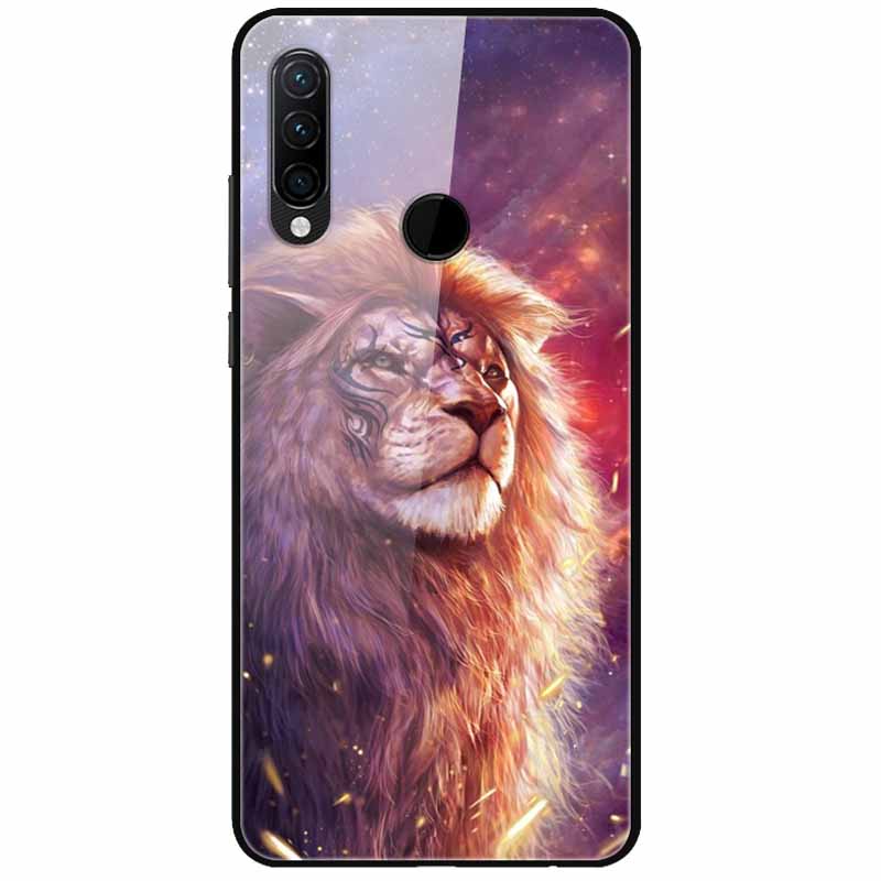 For Huawei P30 Pro Lite Case Cool Tempered Glass Luxury Coque Covers for Huawei P20 Lite P 20 P20Pro P30Pro P 30 Hard Back