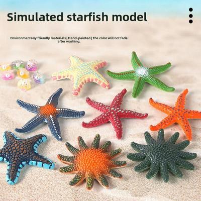 Educational Marine Life Starfish & Shell Toy for Kids