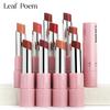 Lipliner Pencil Lipstick Set Matte Nude Red Contour Tint Lipstick Long Lasting Non-stick Cup Lipliner Makeup Lip Stain