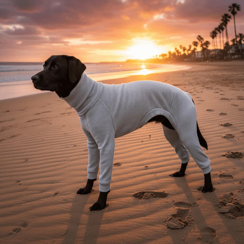 Soft Dog Jumpsuit Elastic Pet Pajamas Pet Sweater Dog Four Legged Clothes  Indoor Wear