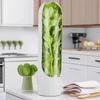 Cross-border Vanilla Vegetable Fresh-keeping Box Dust-proof Anti-pressure Environmental Protection Fresh-keeping Device Creative
