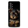 Yorkshire Terrier Dog Phone Case For Samsung S25,S24,S21,S22,S23,S30,Ultra,S20,Plus,Fe,Lite,Note,10,9,5G Black Cover