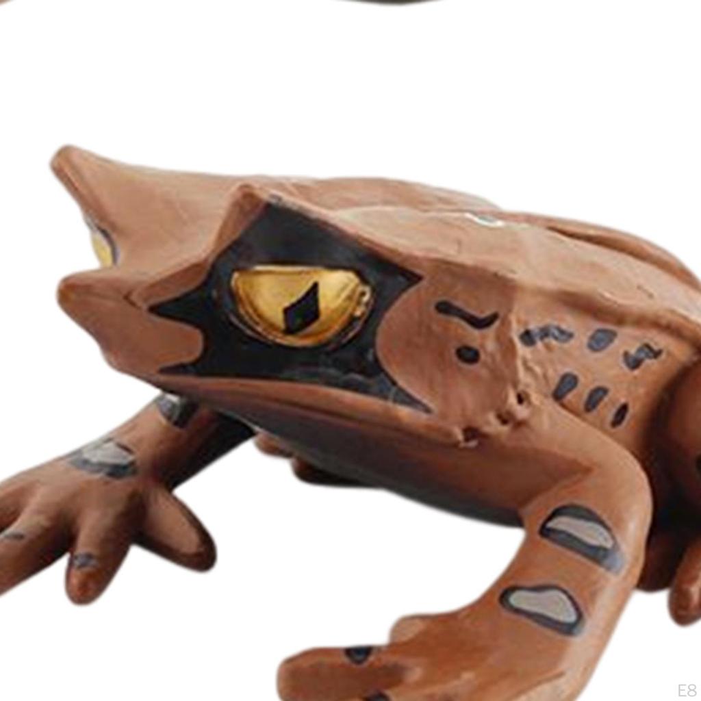 Life Cycle Animal Figures Toy Animals Cognitive Playset Science Frogs Model for