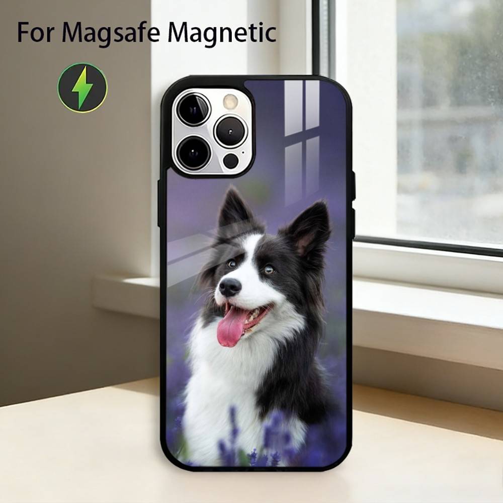 Clever Border Collie Dog Phone Case For iPhone17,16,15,14,13,12,11 Plus,Pro Magnetic with Magsafe Wireless Charging